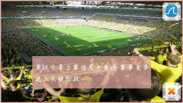 奥运会拳击赛场展开角逐 赛事竞争进入关键阶段